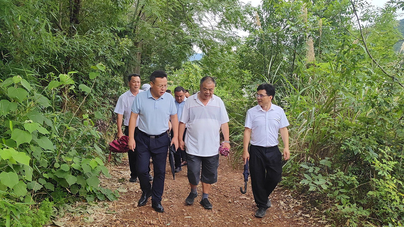 xx微信圖片_20250622182105