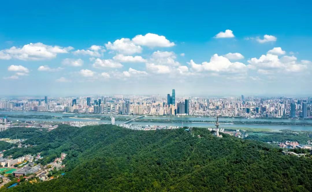 微信圖片_20260202114041_511_155